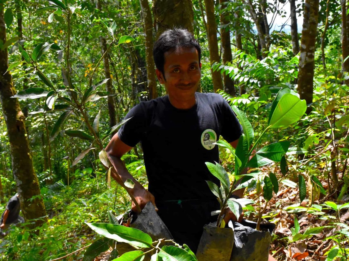 Planting Trees - Sumatra EcoTourism - Sumatra EcoTravel