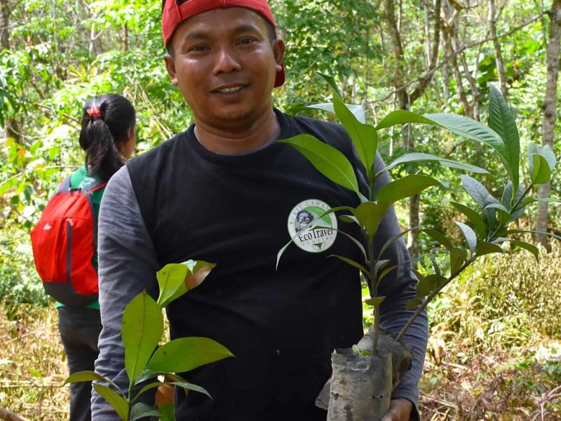 Planting Trees - Sumatra EcoTourism - Sumatra EcoTravel